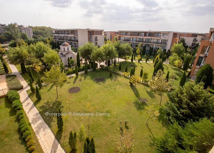 Family ساني بيتش